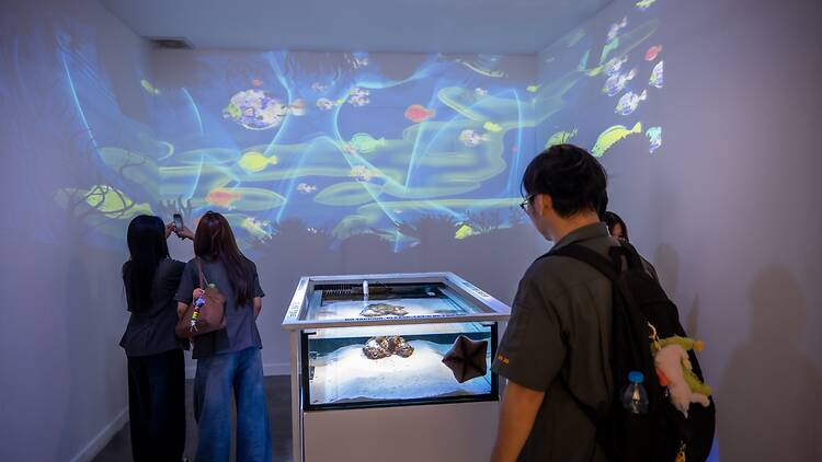 Chula Museum