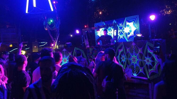 Wild Beats Experience