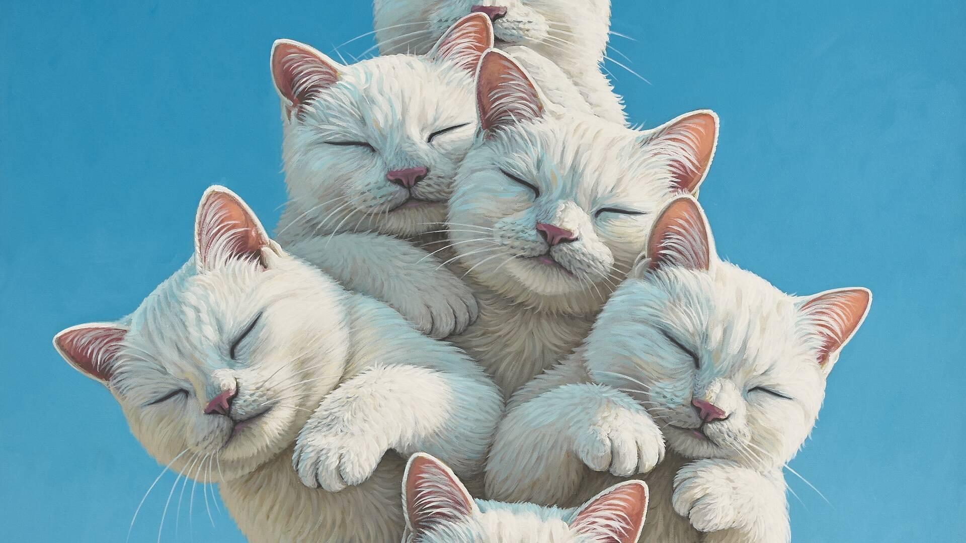 Millions of CATS and ONE CAT | Things to do in Bangkok