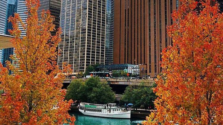 chicago architecture center