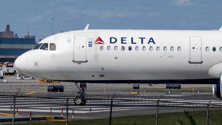 Delta plane