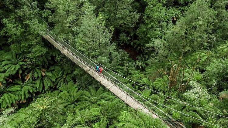 Tarra-Bulga National Park