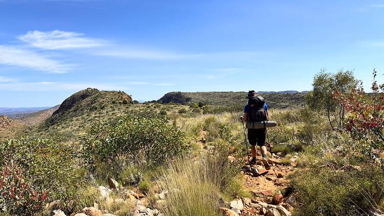 Larapinta Trail (Australian Walking Holidays), NT Larapinta Trail (Australian Walking Holidays), NT
