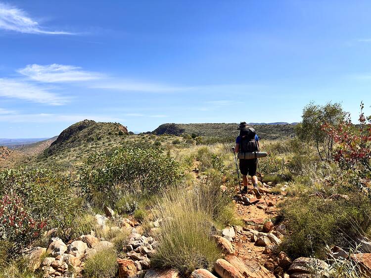 Larapinta Trail (Australian Walking Holidays), NT Larapinta Trail (Australian Walking Holidays), NT