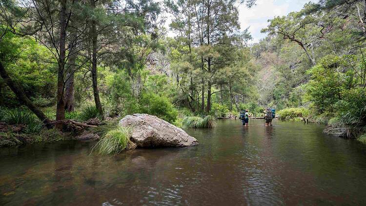NSW National Parks and Wildlife