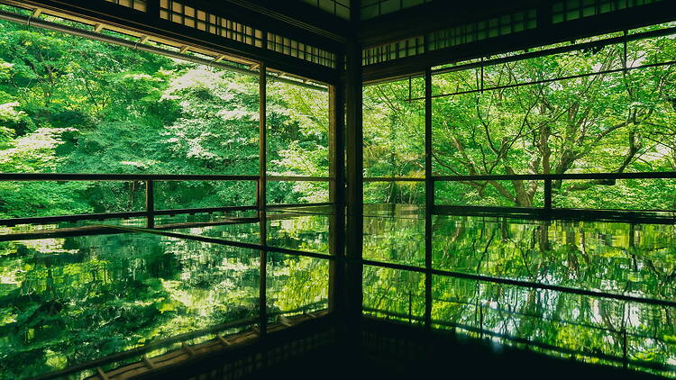 Ruriko-in Temple, Kyoto