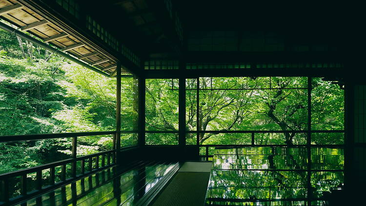 Ruriko-in Temple, Kyoto