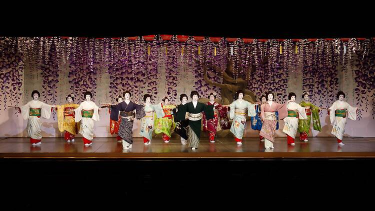 Kamogawa Odori, Kyoto