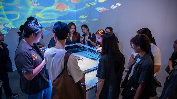 Chula Museum