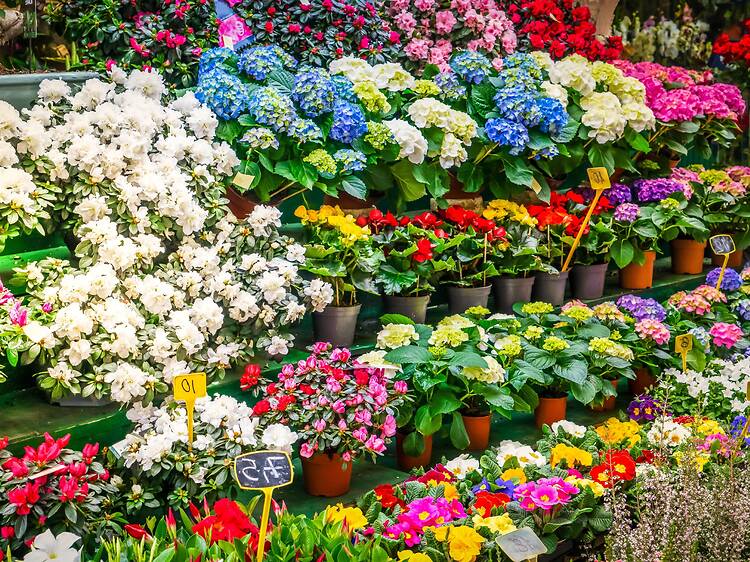 Llega la Feria de la Primavera con un bonito mercado, talleres de flores de papel y espectáculos infantiles