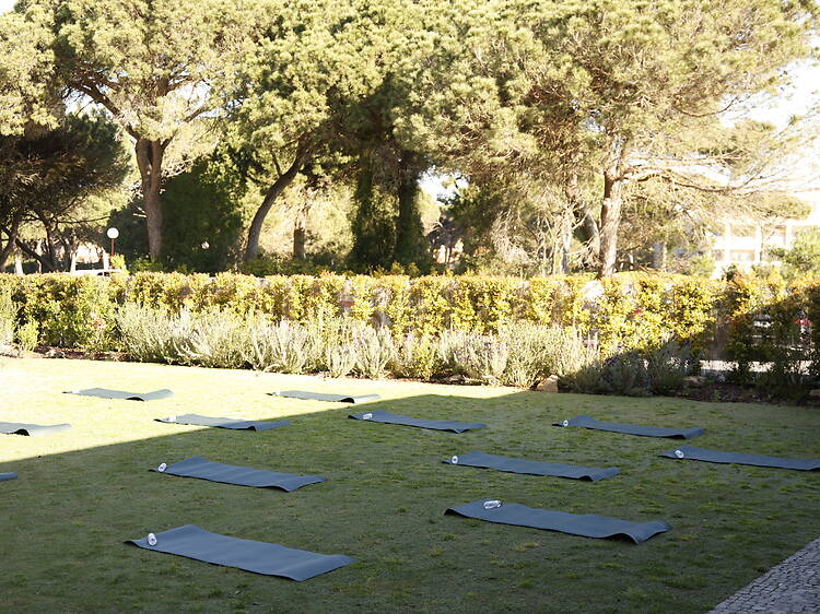 Feel Good Circle returns for those serious about wellbeing