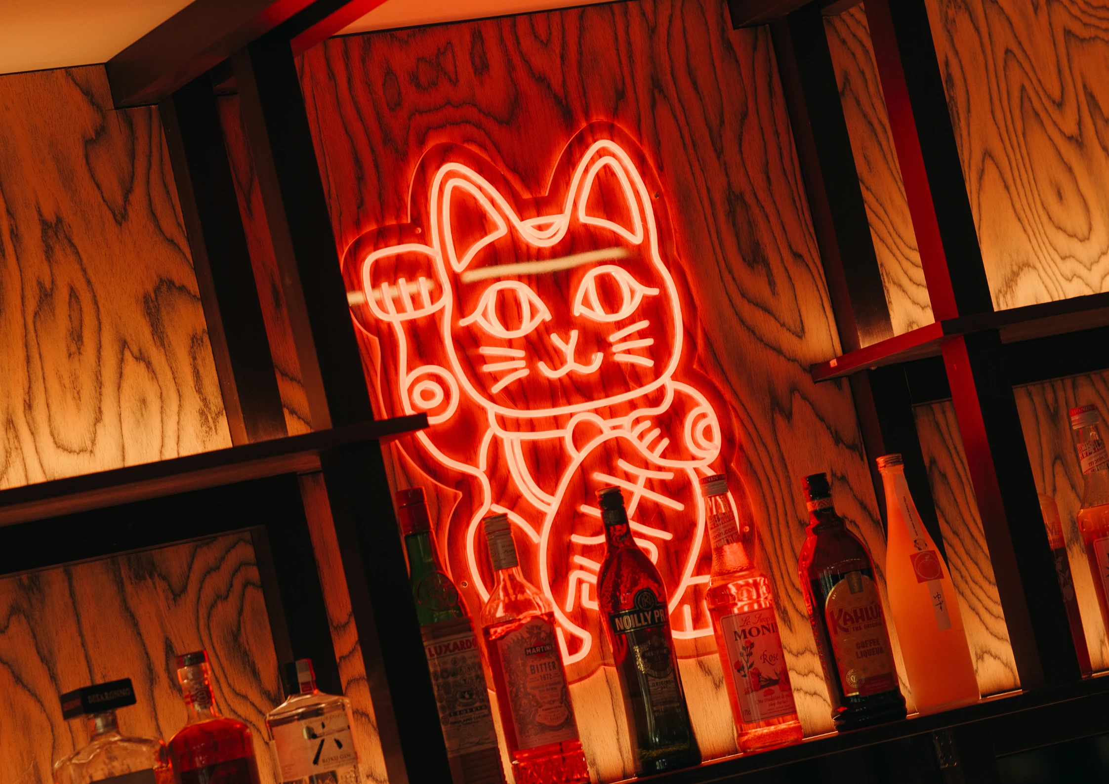 Neon cat.