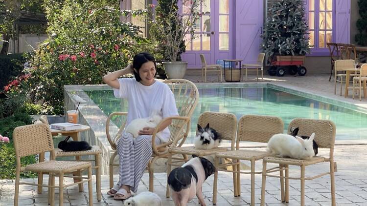 Lounge poolside with furry friends at 99 Villa and Cafe