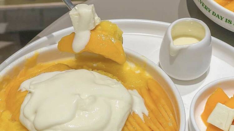 Silky shaved ice at Cheevit Cheeva