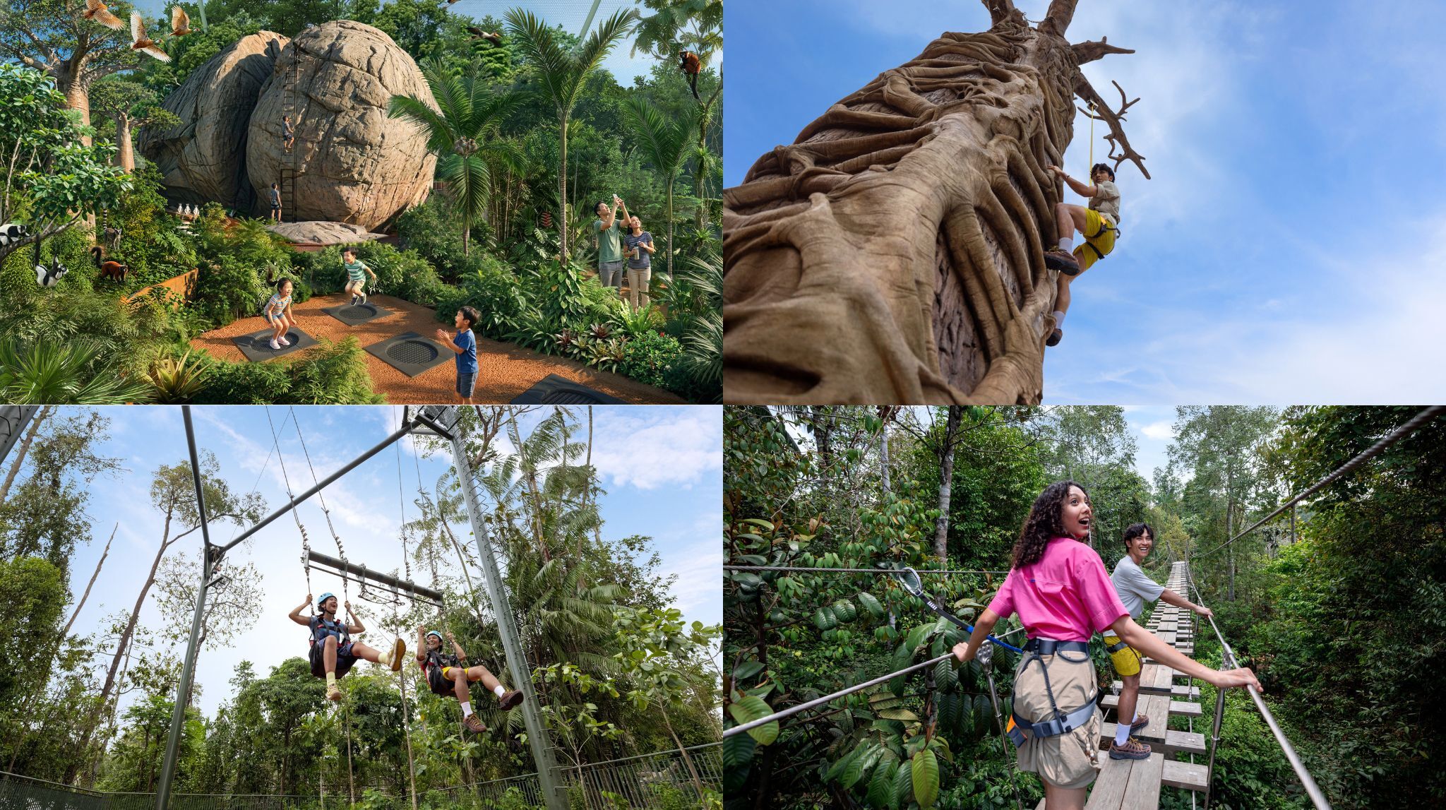 Mandai Rainforest Wild Adventure 2026: Phase 2 Opens May 20 with