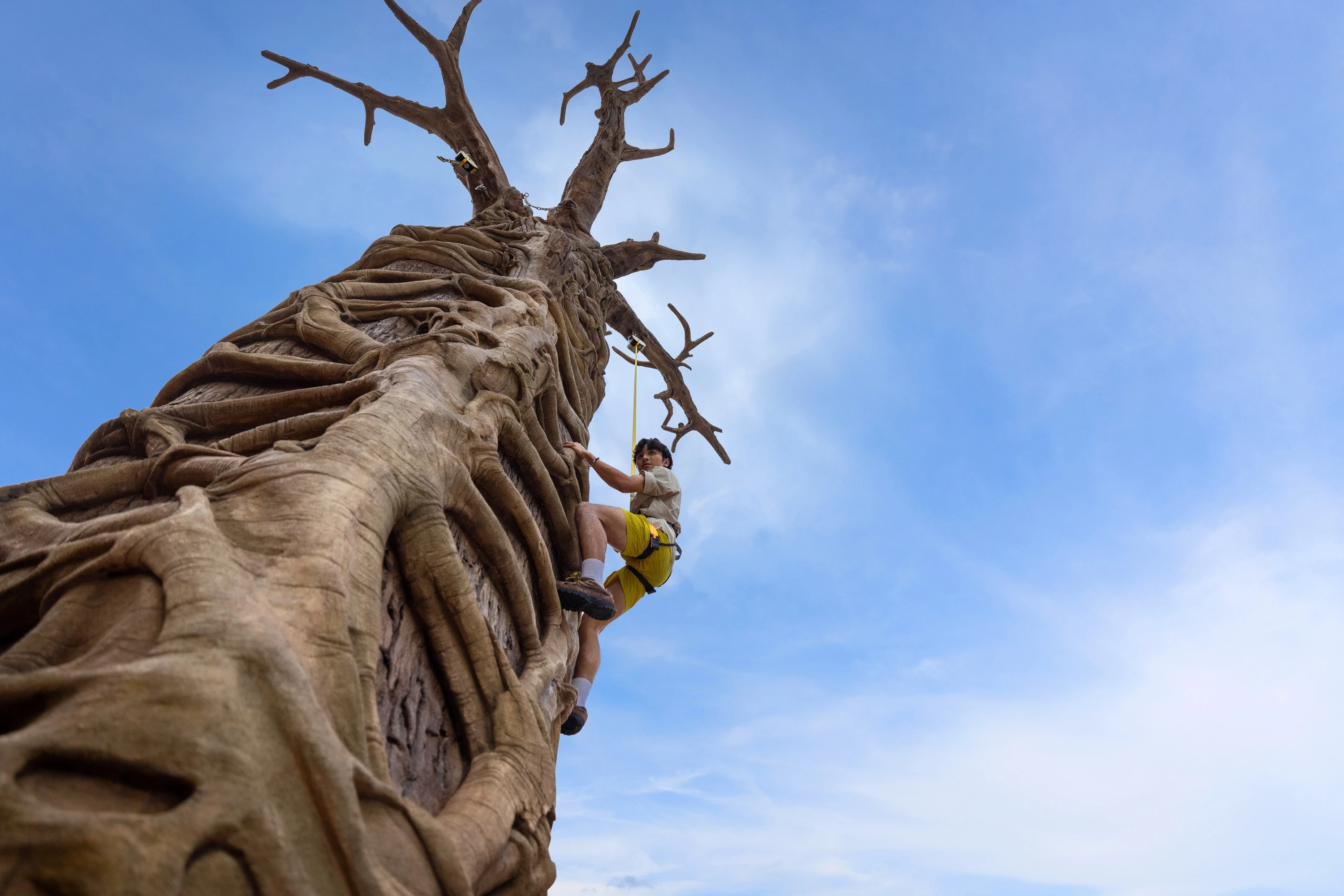 Primate Climb