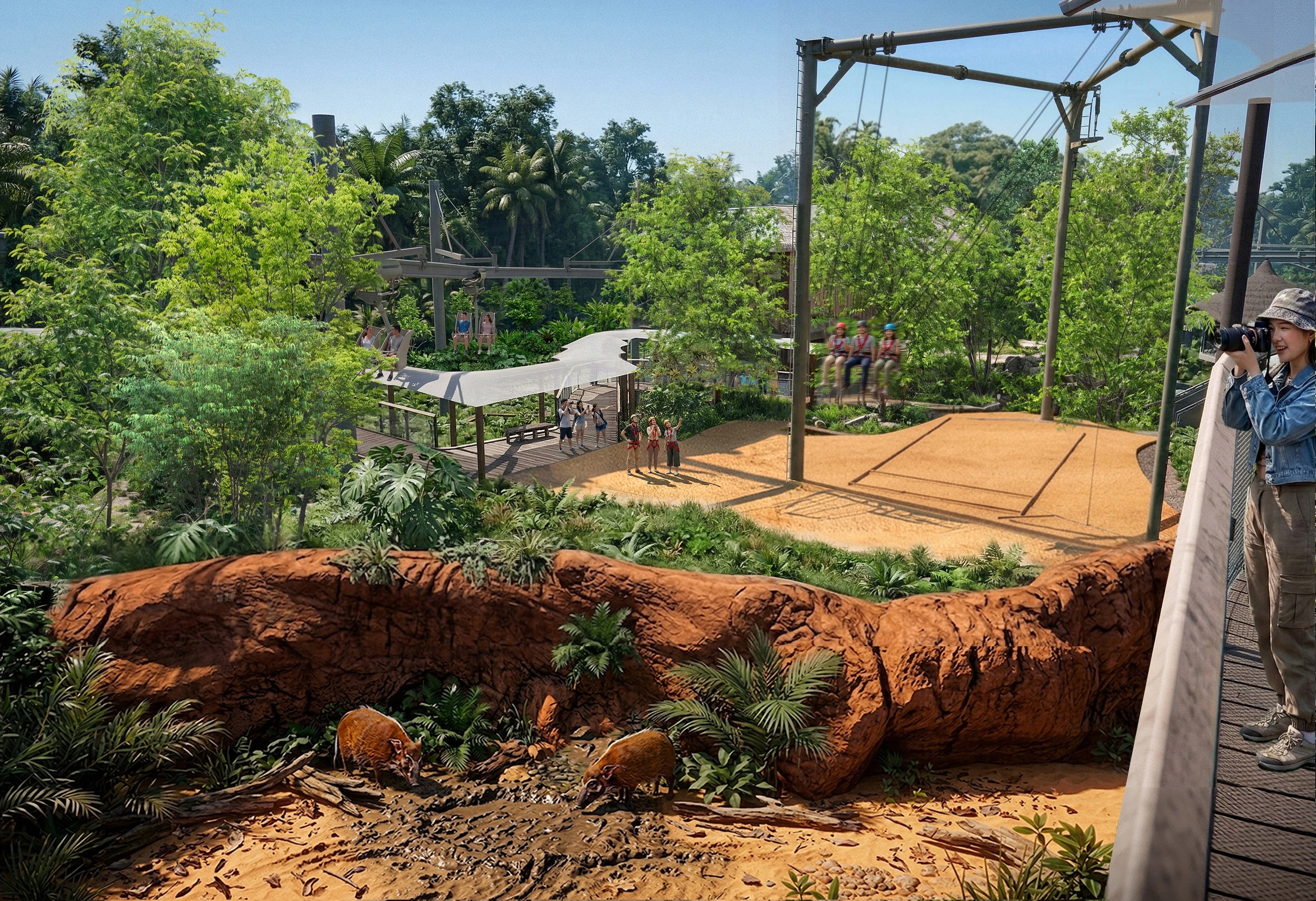 Ravine Swing