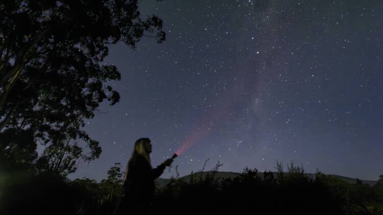 Sky Country Tours Person holding laser against night sky