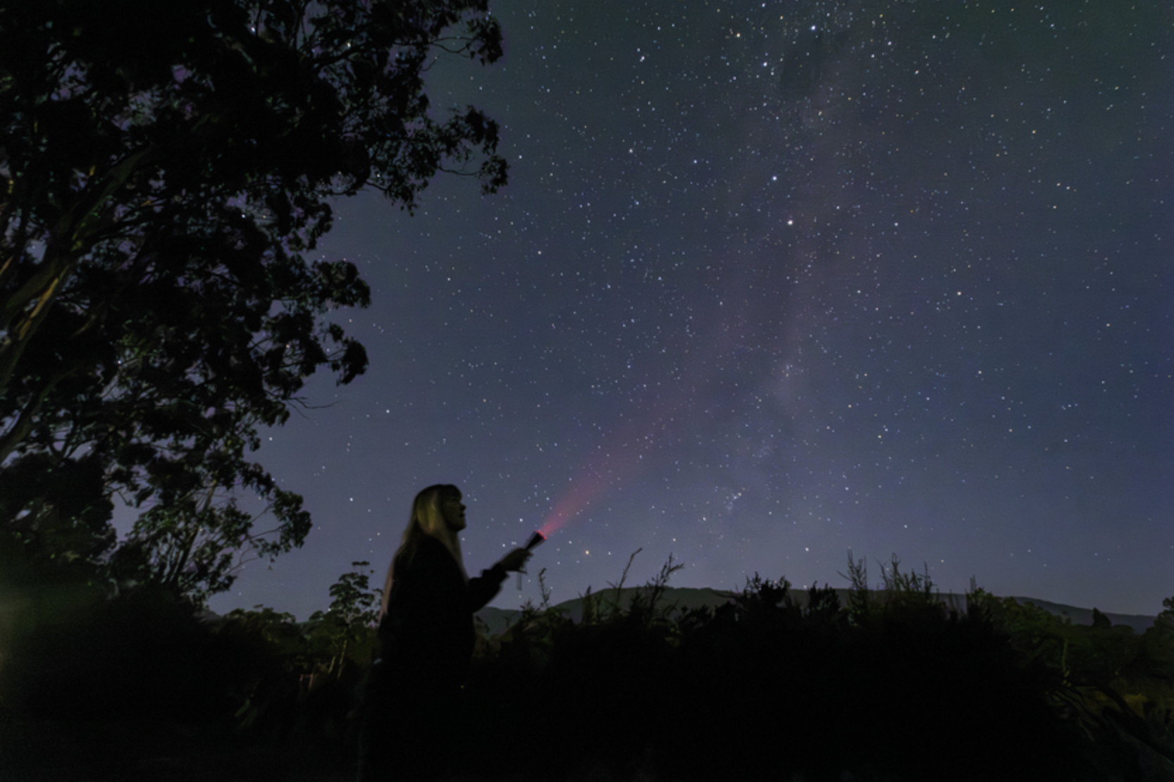 Healesville Sanctuary has launched a new First Nations stargazing experience