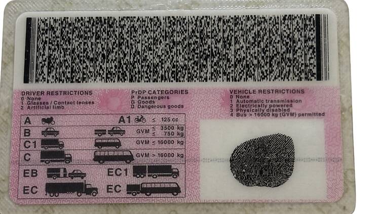 Driver's License card 