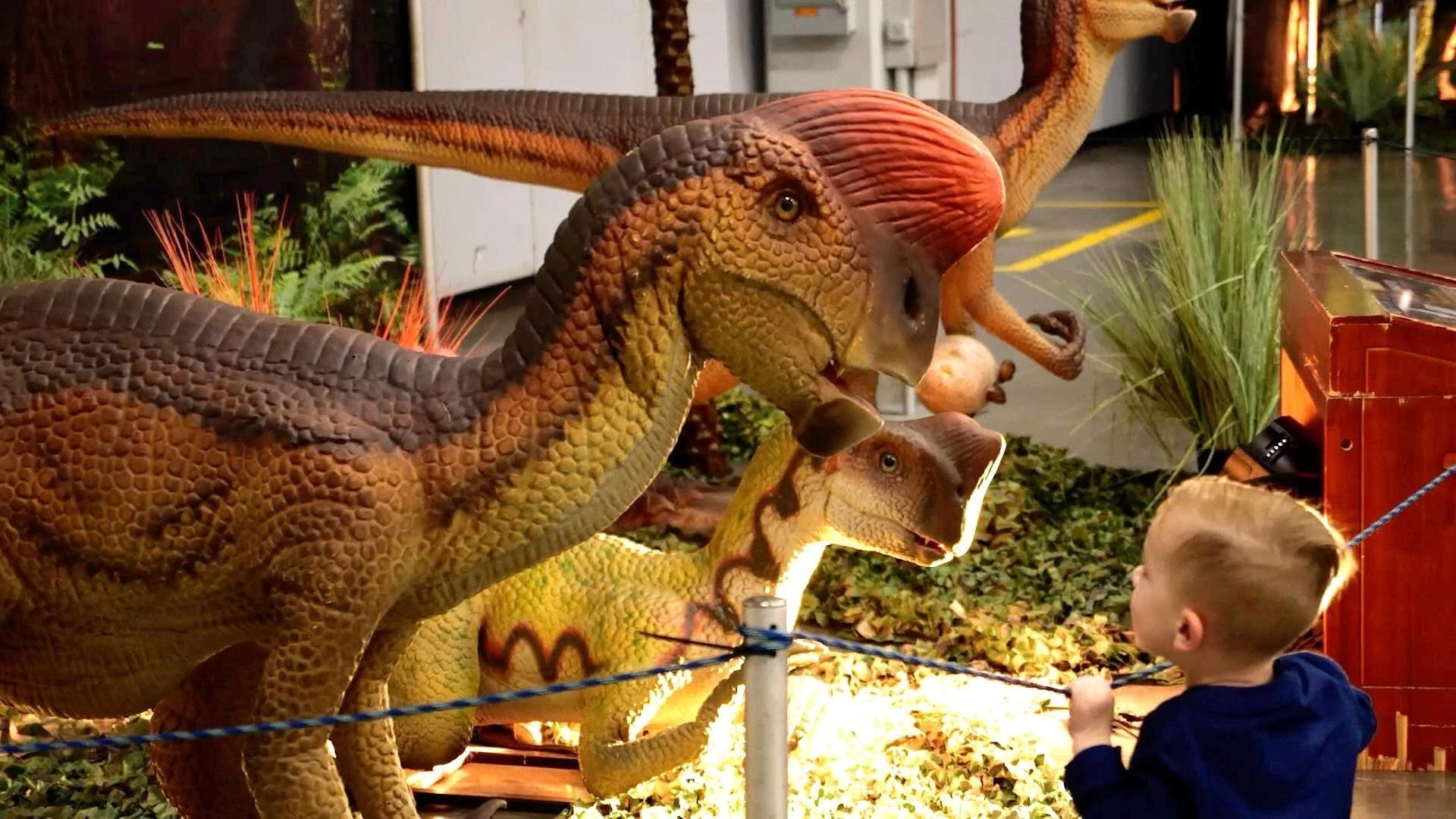 Dino Expo XXL Espa&ntilde;a