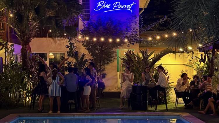 Wear pink and stay for rosé at Blue Parrot