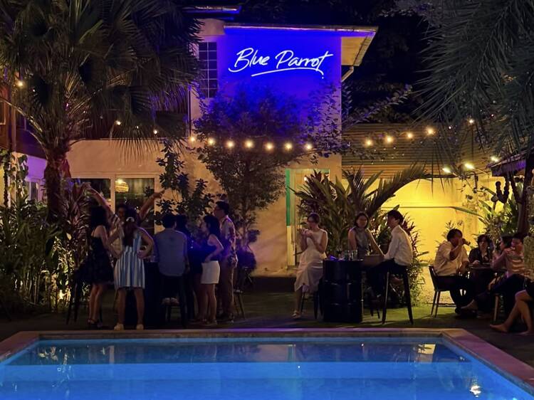 Wear pink and stay for rosé at Blue Parrot