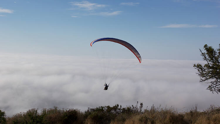 Paragliding from Signal Hill