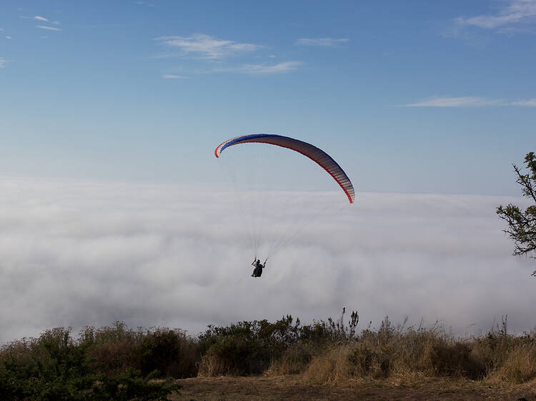 Paragliding from Signal Hill