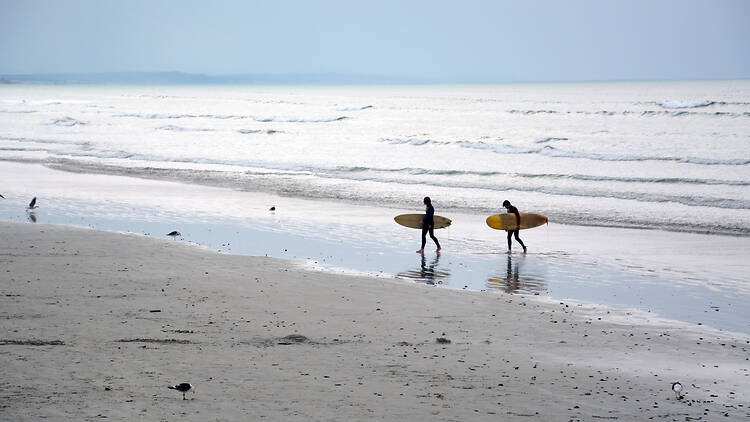 Cold-Water Surfing in Muizenberg