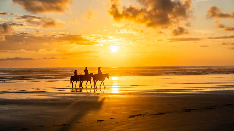 Horseback Riding on Noordhoek Beach