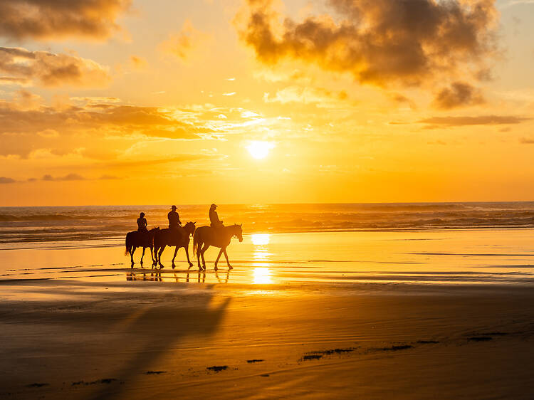 Horseback Riding on Noordhoek Beach