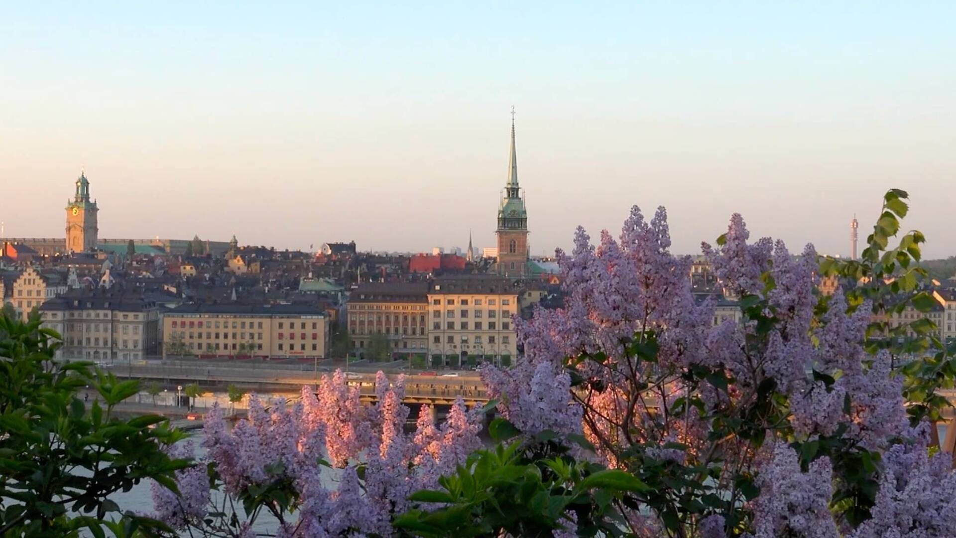 19 best things to do in Stockholm right now