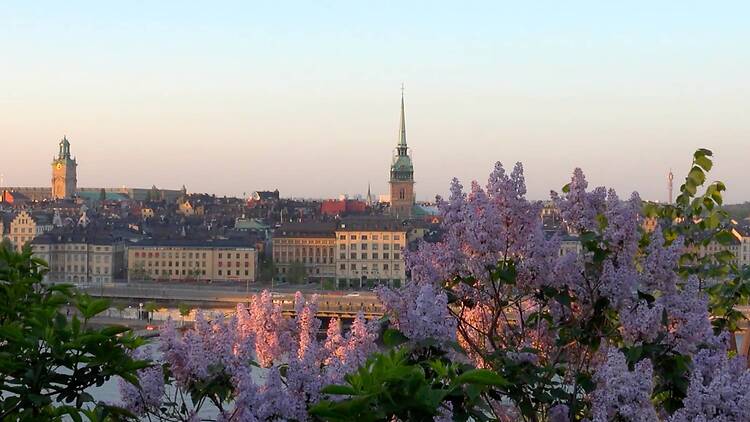 Hike the Heights of Söder