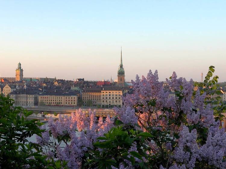 Hike the Heights of Söder