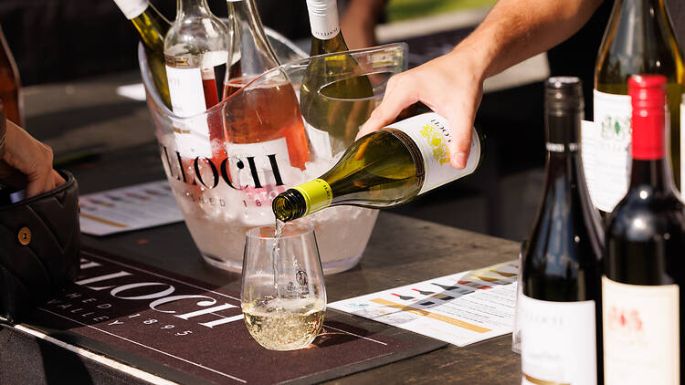 Pyrmont Festival white wine poured into a glass