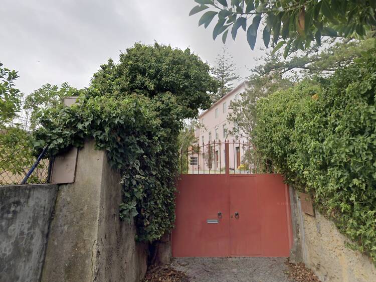 Nova residência universitária implica abate de dezenas de árvores em quinta do Lumiar