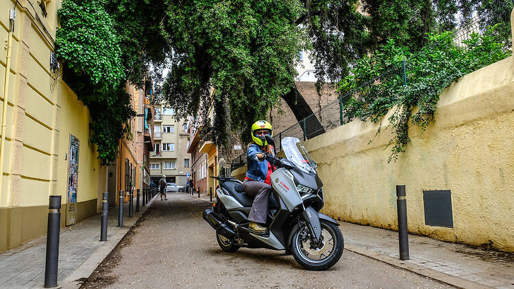 Un veí arrelat: L’alzina del carrer Encarnació