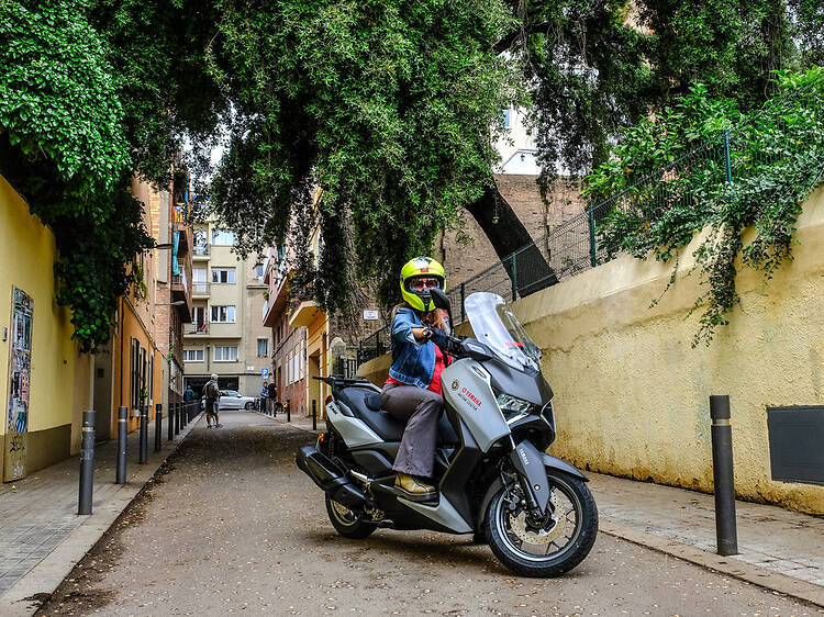 Un veí arrelat: L’alzina del carrer Encarnació