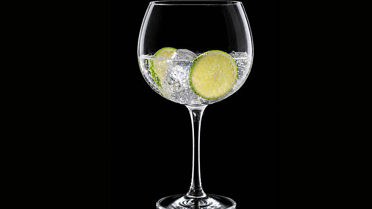 Gin Master Class: From Medicine to Mischief!