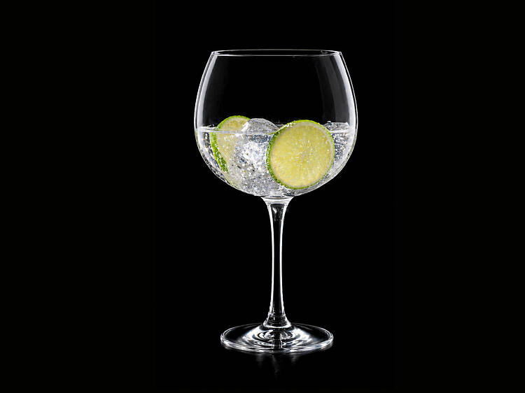 Gin Master Class: From Medicine to Mischief!