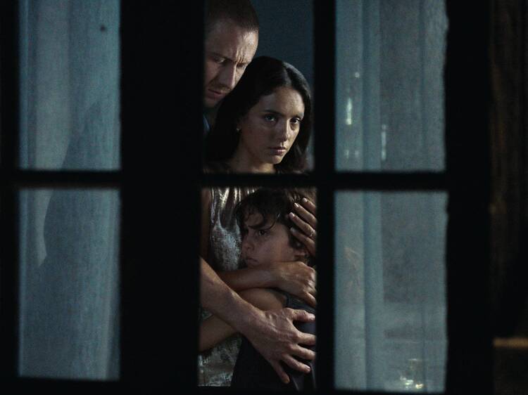 Cannes review: Sheep in the Box