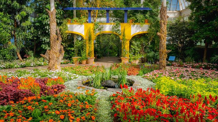 Flowers at New York Botanical Garden