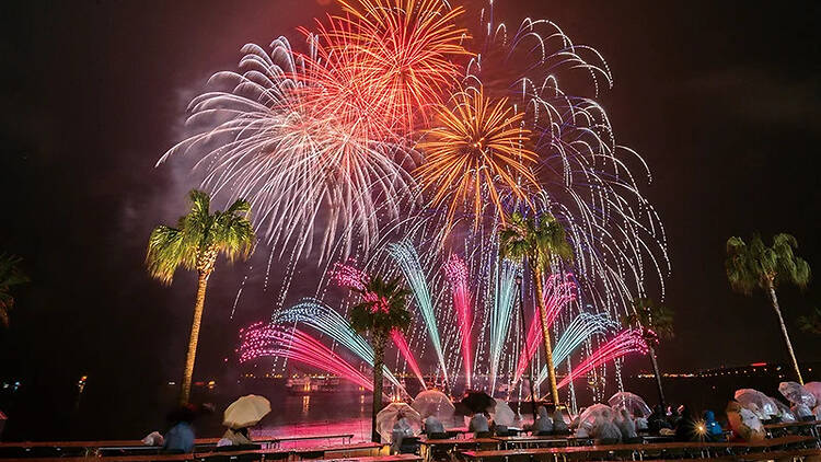 Rinku Fireworks Festival