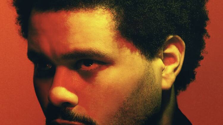theweeknd theweeknd