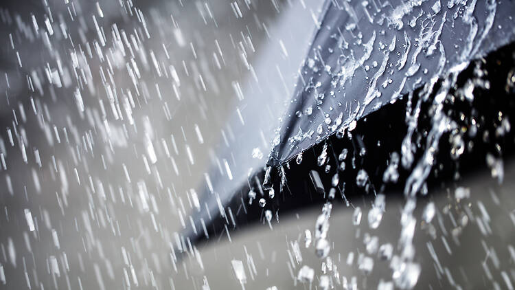 Rain on umbrella background. 2262449990