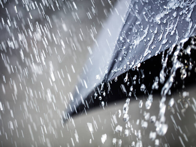 Cape of Storms: Extreme weather havoc, major attractions shut!