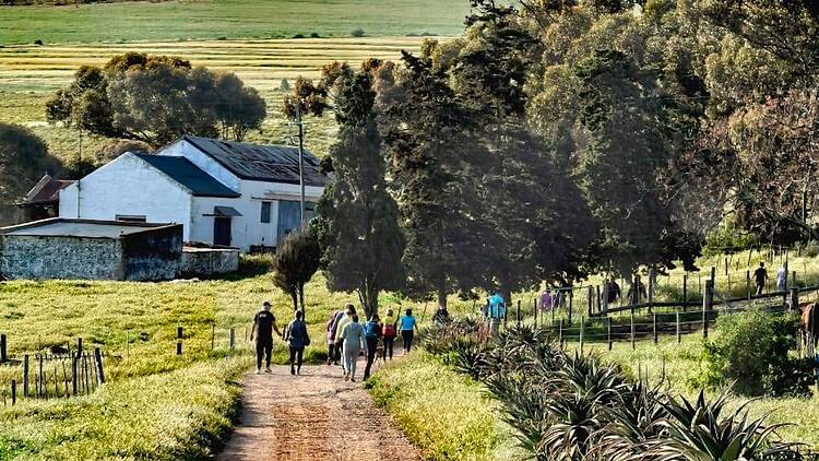 The best country parkruns across the Cape