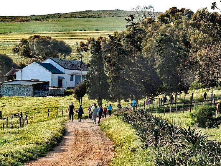 The best country parkruns across the Cape