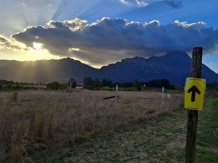 Duikersdrift parkrun, Tulbagh